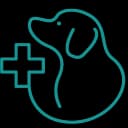 Procedimentos e cirurgias